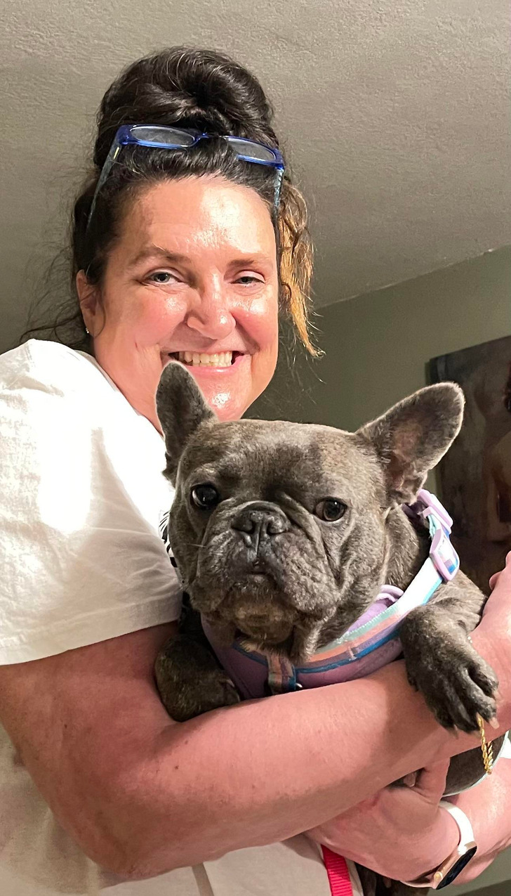 12 rescue dogs and cute cats from animal shelters who got their forever ...