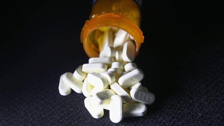 Arkansas fall drug take back day scheduled for Oct. 24
