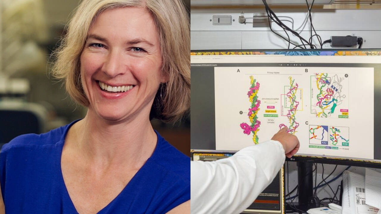Doudna team finds ancient CRISPR ancestor with unusual gapped DNA code