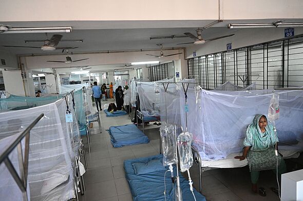 Plague fears in Russia after lab worker dies from particularly ...