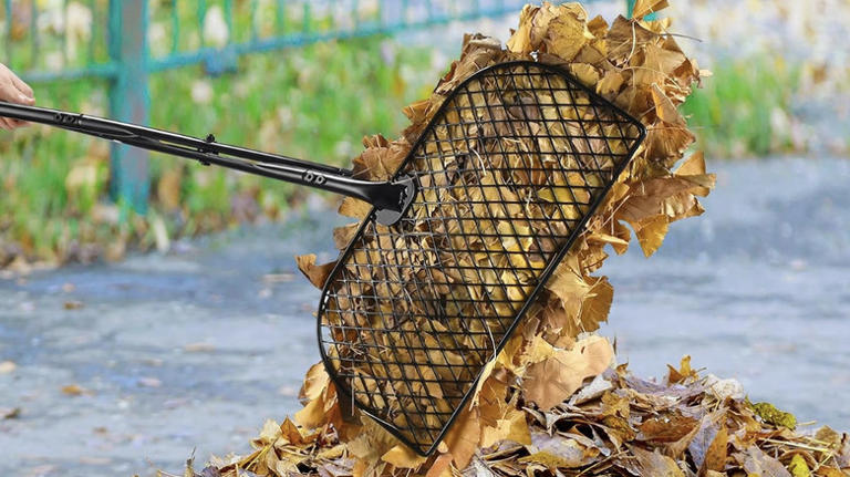 Say goodbye to traditional rakes: The easy-to-use tool from Amazon for ...