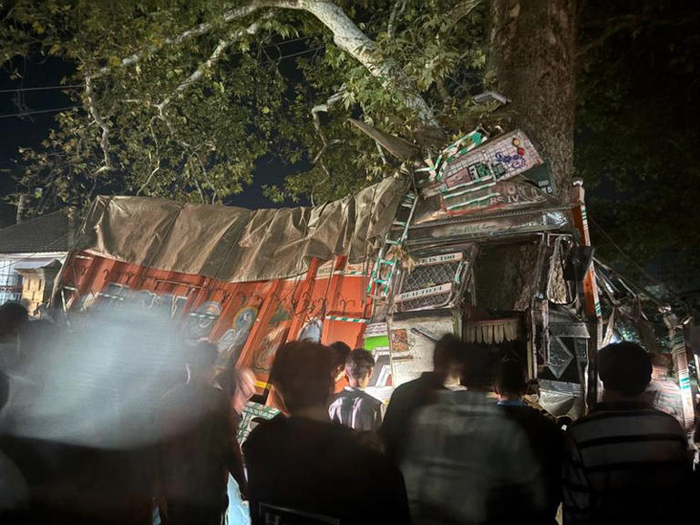 Rashly driven truck hits many vehicles, crashes into Chinar tree