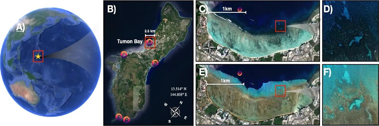 New imaging technologies offer a clearer view of coral reef change