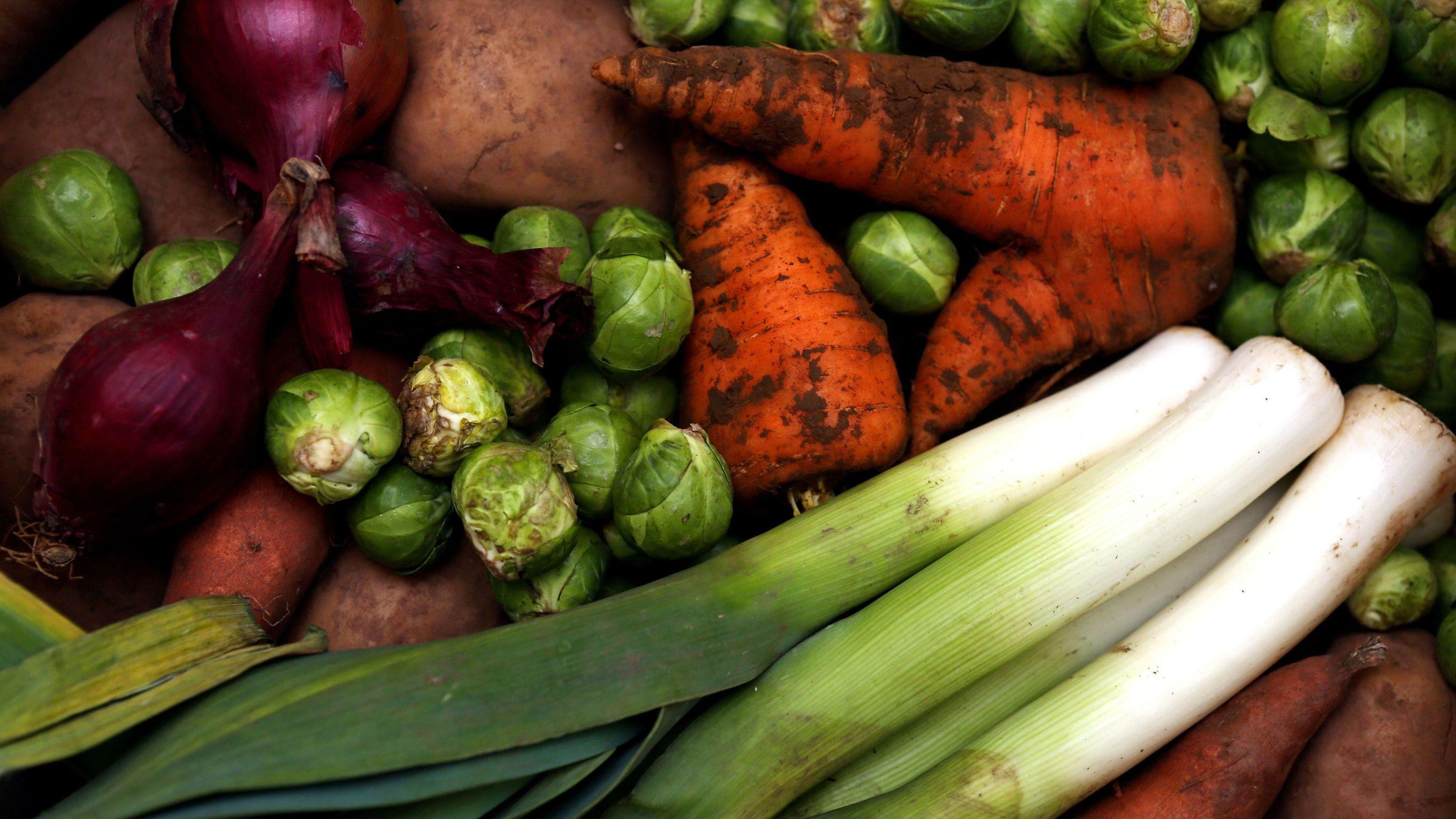Healthy food projects boosted with £222k fund