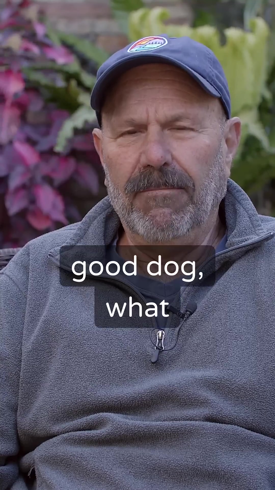 The value of a good female in dog breeding