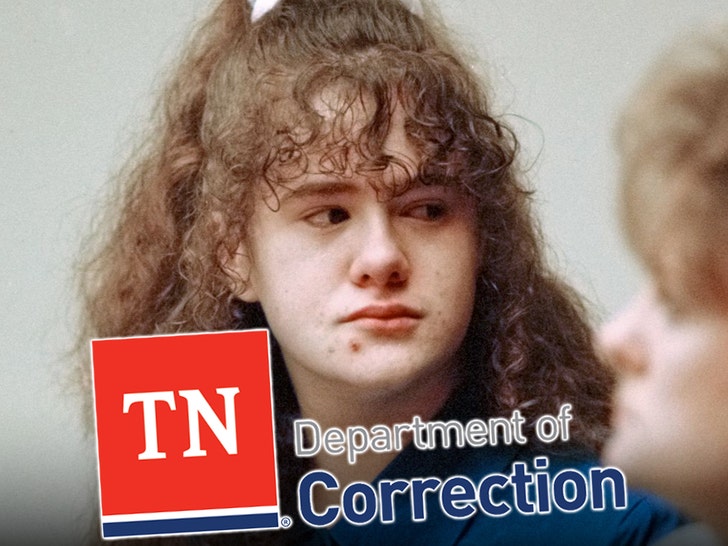 Tennessee prison chief resigning after botched Christa Pike execution