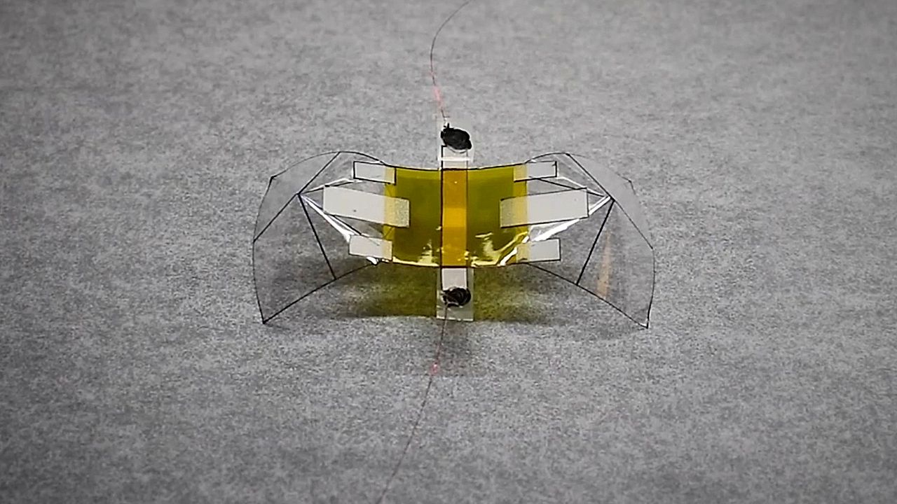 Tiny flying robot gets crushed by 11,000 times its weight and takes off ...