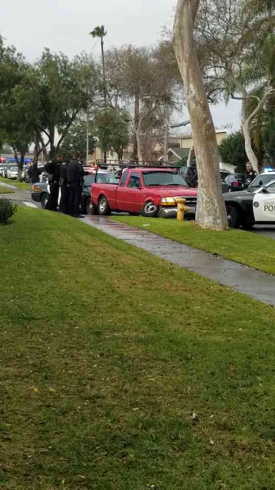 Driver crashes into a fire hydrant then cops arrive with guns drawn