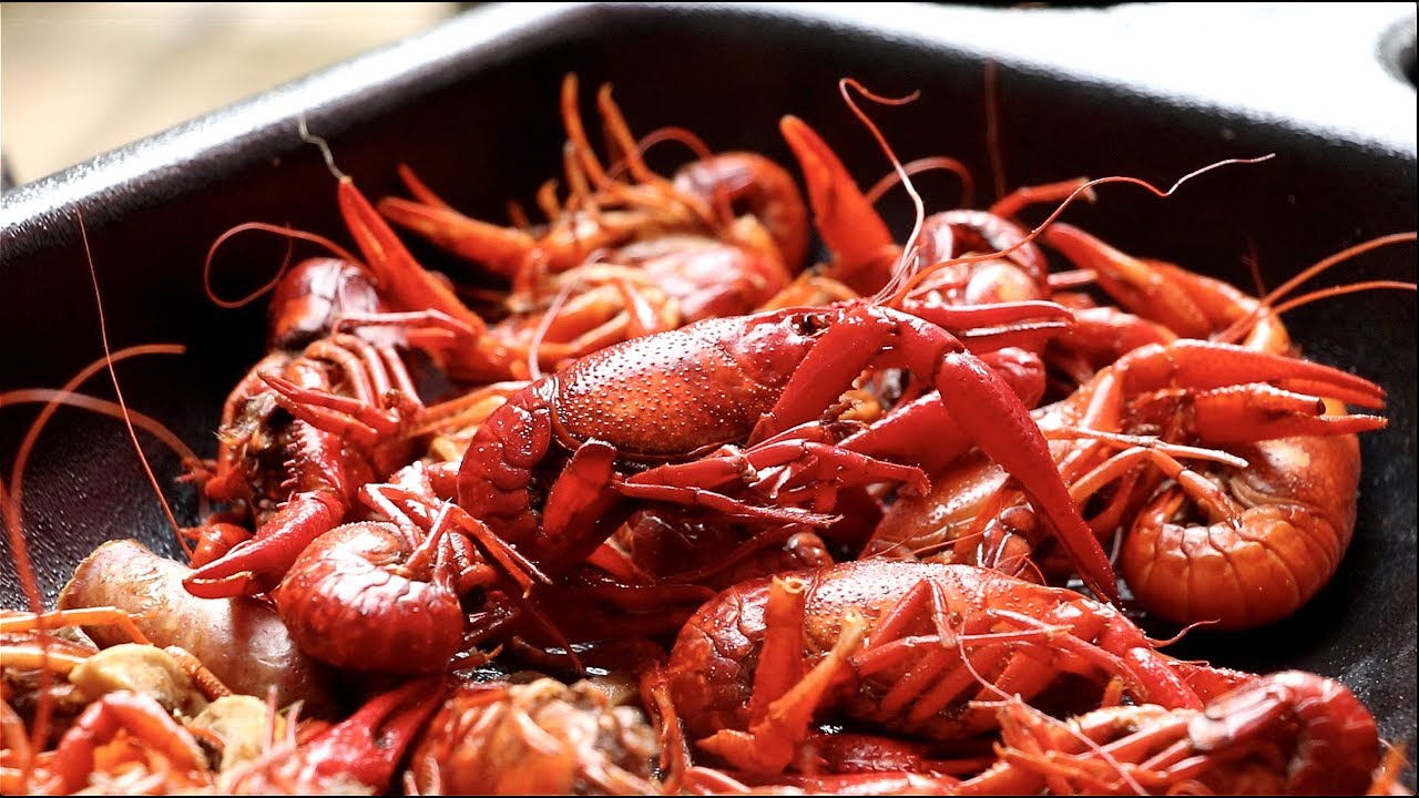 Crawfish boil and backyard pond magic