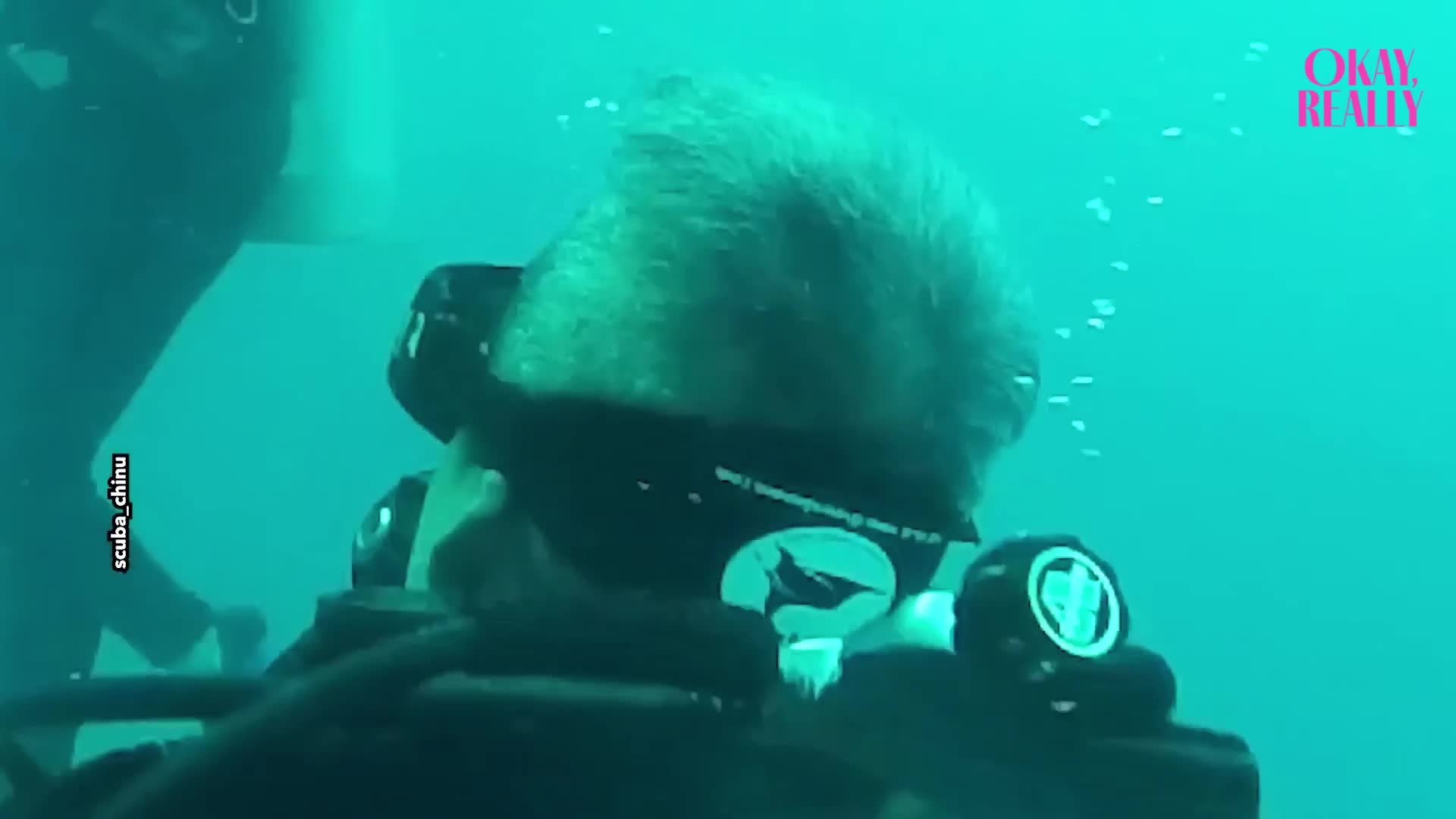 Scuba diver leaves partner stunned during underwater dive