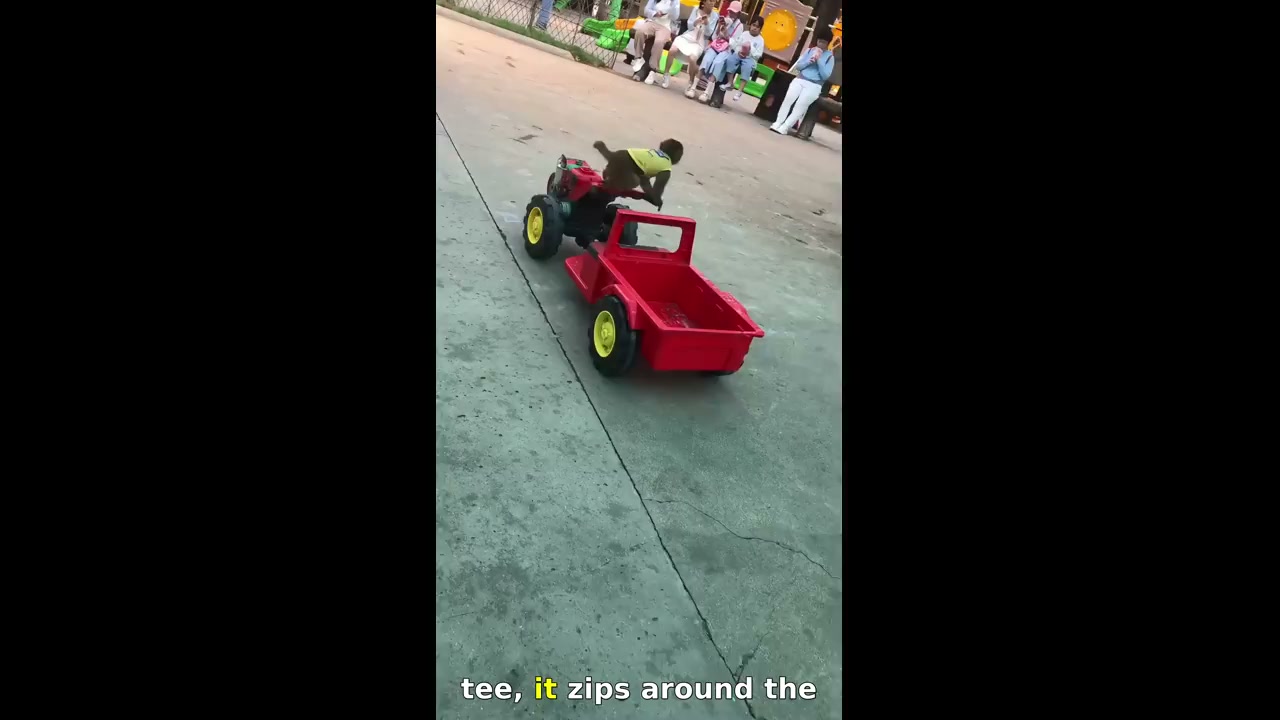 Monkey rides toy tractor in Shandong park