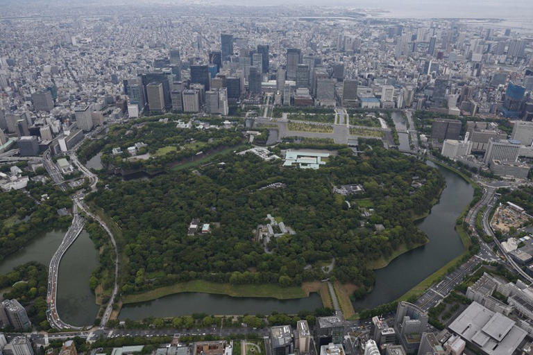 News in easy English: Imperial Palace forest has new life, but lost ...
