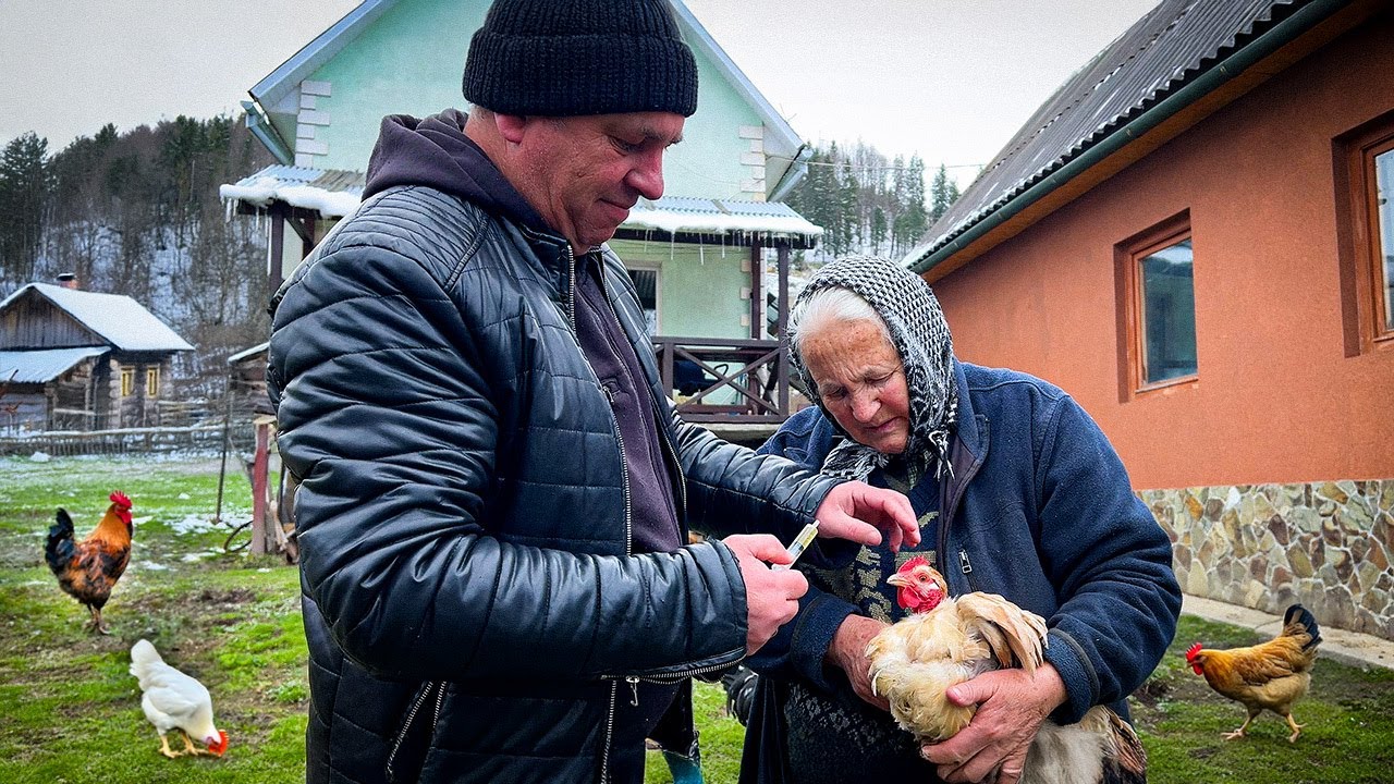 Daily Chores with Elderly Grandmother & Son's Peaceful Ukrainian Farm ...