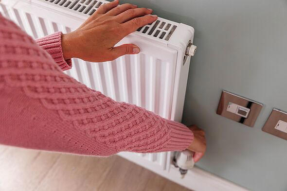 Radiators will turn hot faster when switched on if you do simple 5 ...