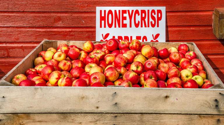 Honeycrisp vs Fuji: The differences between the apples, and which is ...