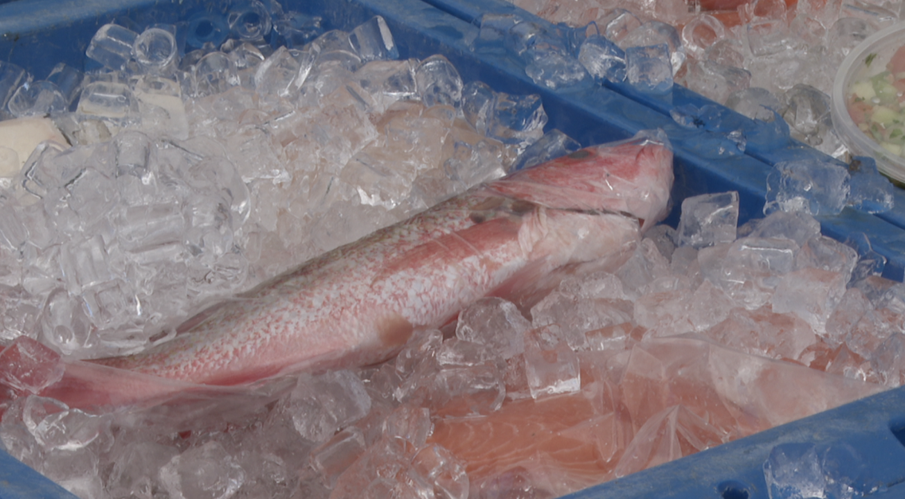 Poway farmers market vendors share how they keep fish and meat fresh ...