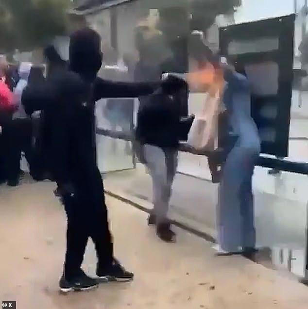 Boy, 15, arrested for burning woman's face with makeshift flame-thrower ...