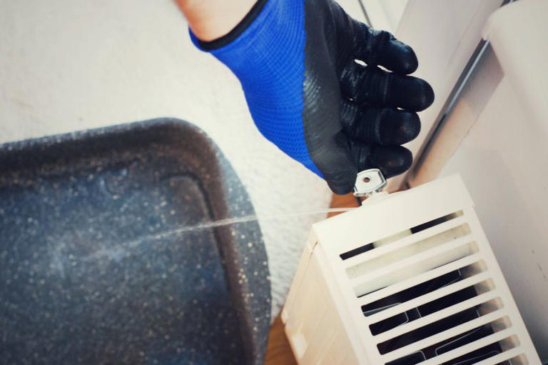Radiators will heat up better and heating bills will reduce if you do 1 ...