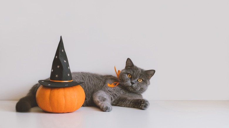 5 stylish decorating ideas that easily transition from spooky to cozy