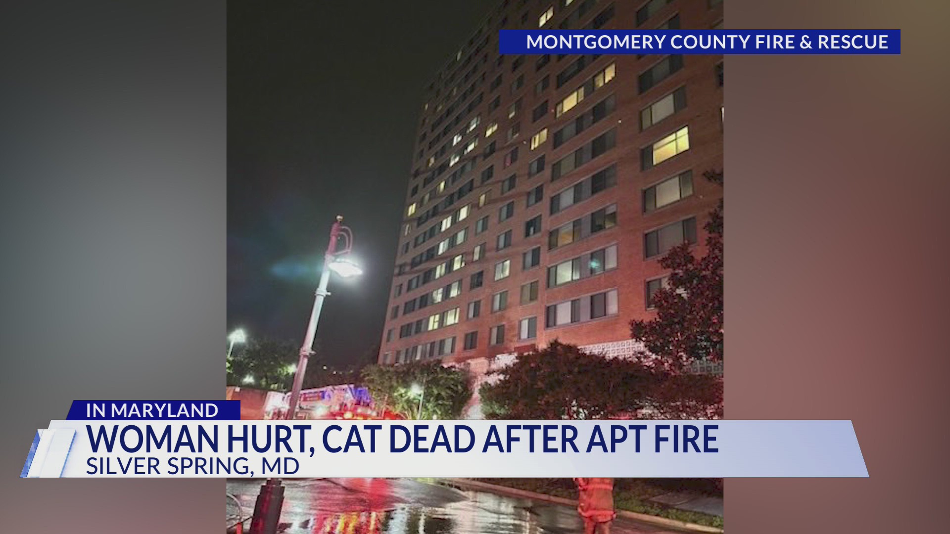 Woman hospitalized, cat dies after fire at apartment building in Silver ...