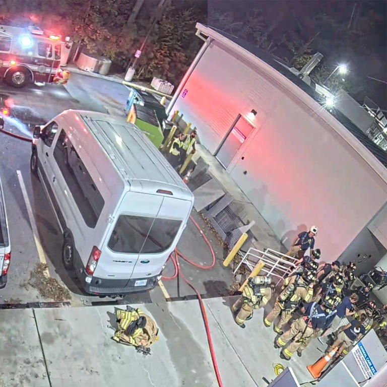 Sea turtle dies, animals displaced after fire breaks out at Virginia ...