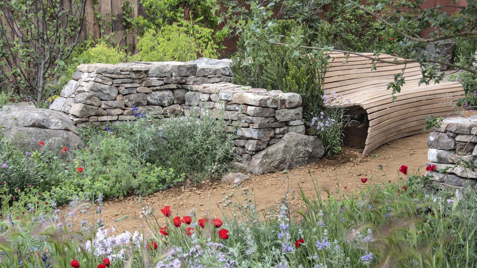 Breathe new life into older perennials in October – boost your blooms ...