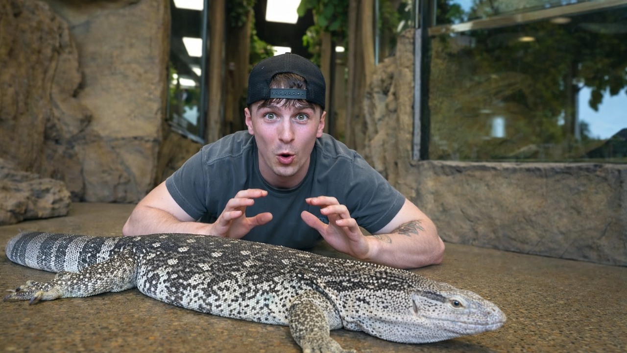 Their African animal collection goes far beyond snakes - some species ...