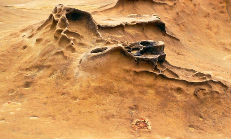 NASA rover uncovers clue that could finally settle the biggest mystery ...