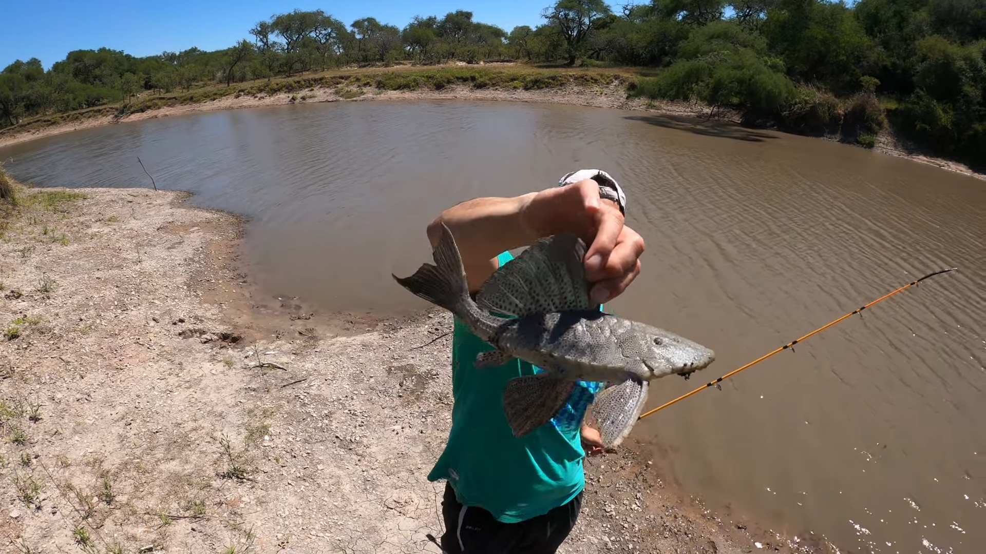 Pesca de bagre lagunero en el arroyo Gualeguaychú