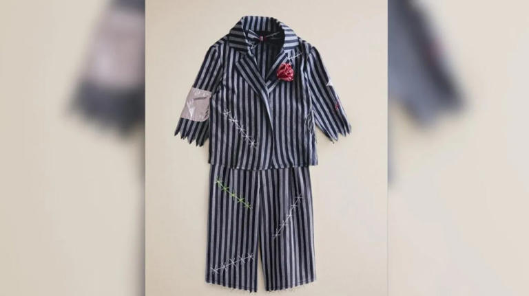 Zara halts children's Nazi-style costume sales amid outcry