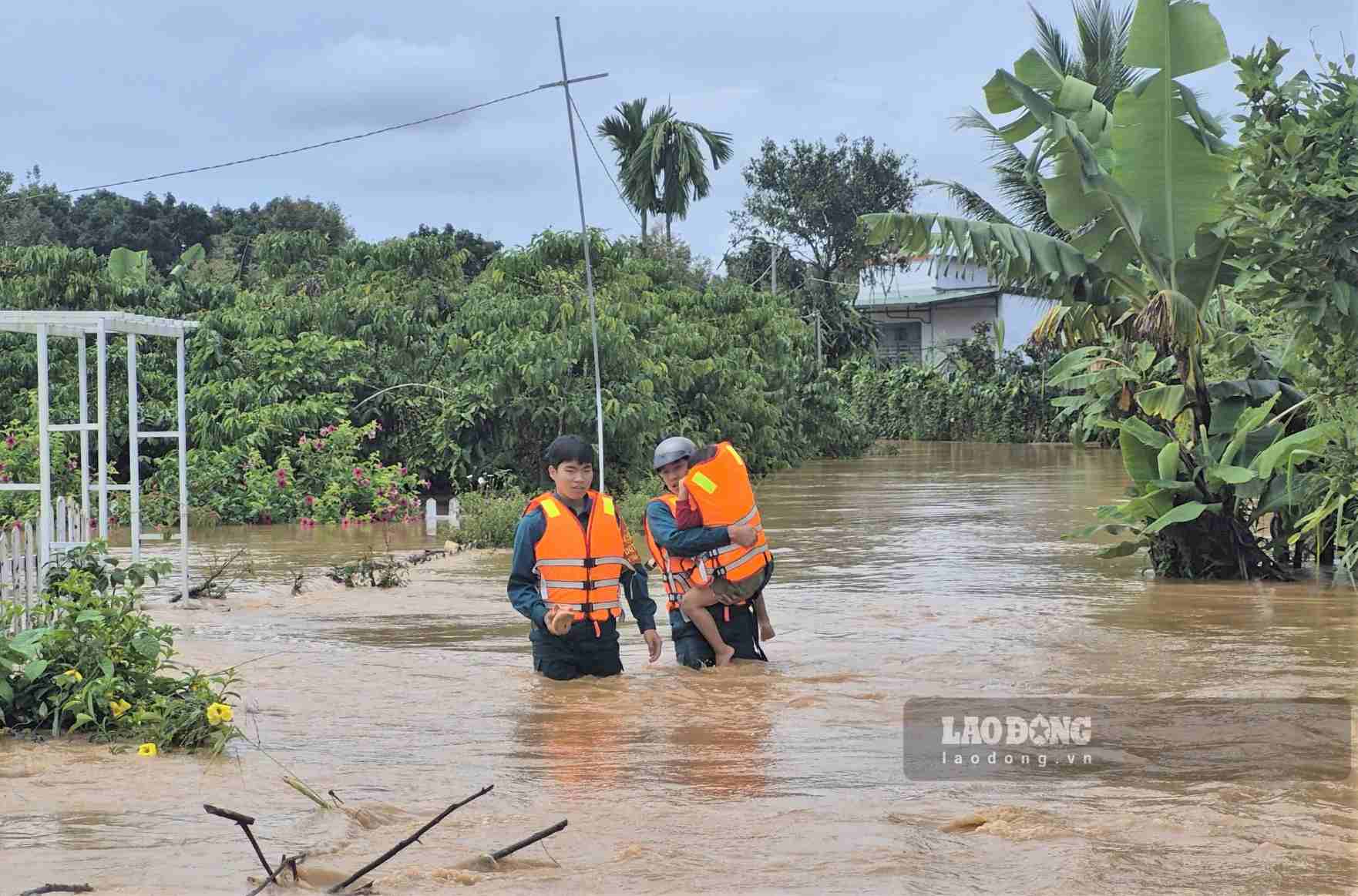 Nước lũ từ thượng nguồn tràn về, hơn 40 hộ dân ở Lâm Đồng phải di dời khẩn cấp