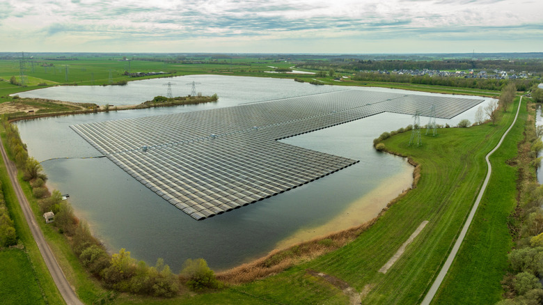 This floating solar farm is doing a lot more than just generating ...