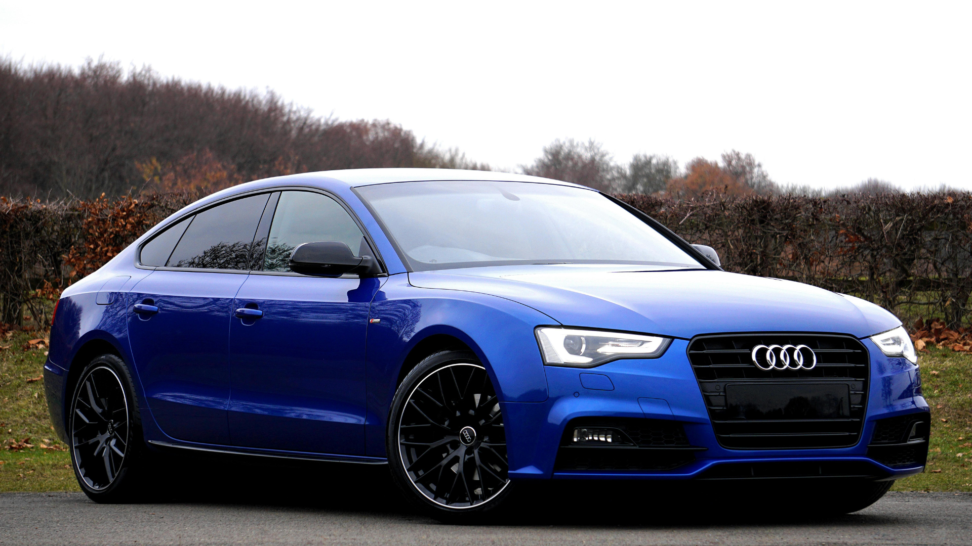 10 cars with the highest insurance premiums & 10 with the lowest