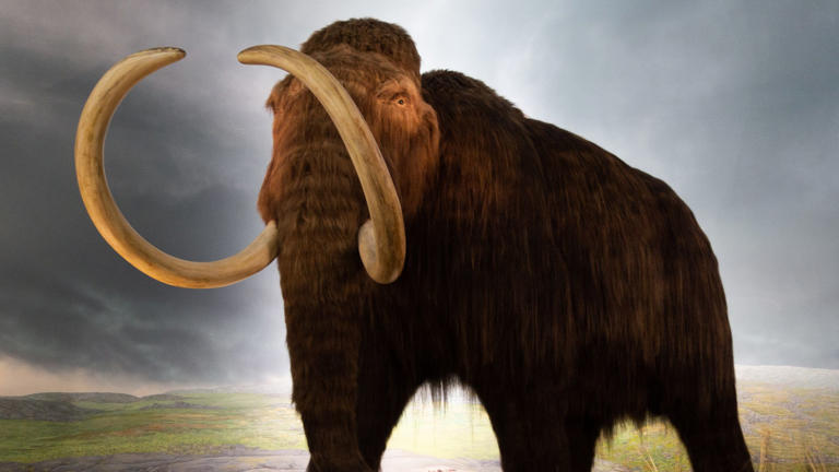 We can bring extinct species back to life - but should we?
