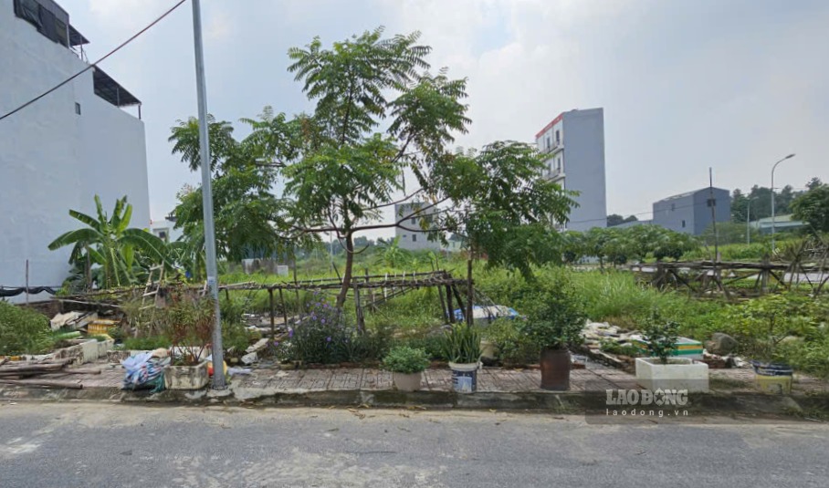 Cấp sổ đỏ cho đất không có giấy tờ, Cục Quản lý đất đai hướng dẫn xử lý hồ sơ