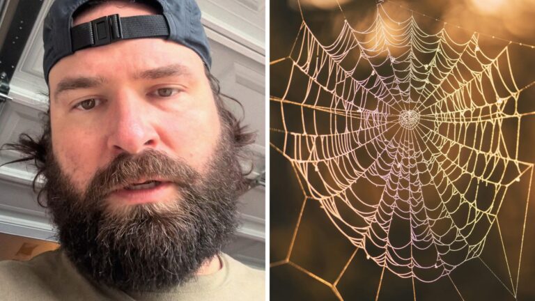 Man lets spider in his garage live for a few months. Then he takes a ...