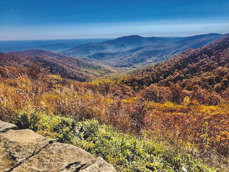 Shenandoah National Park: 'Several weeks' from peak fall color
