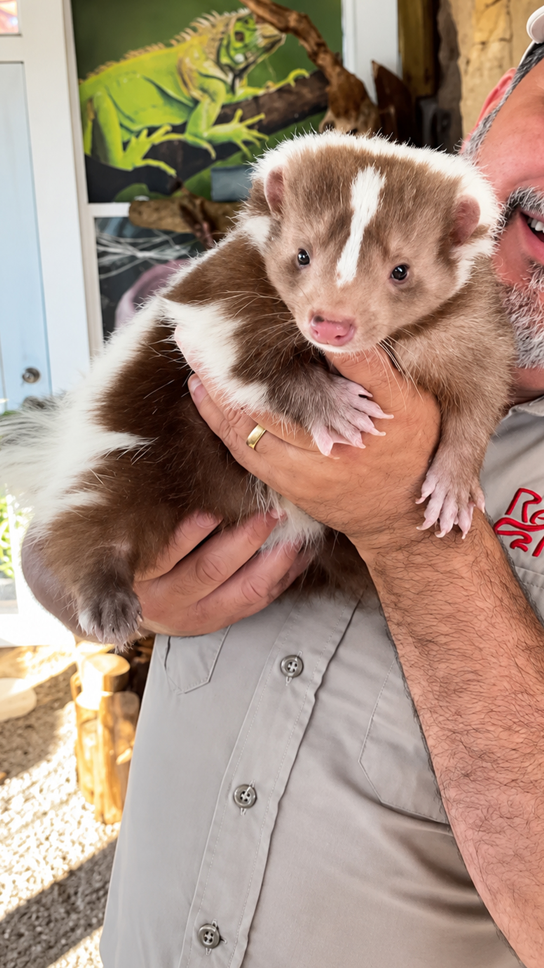 Skunk spray explained and why these animals spray when threatened