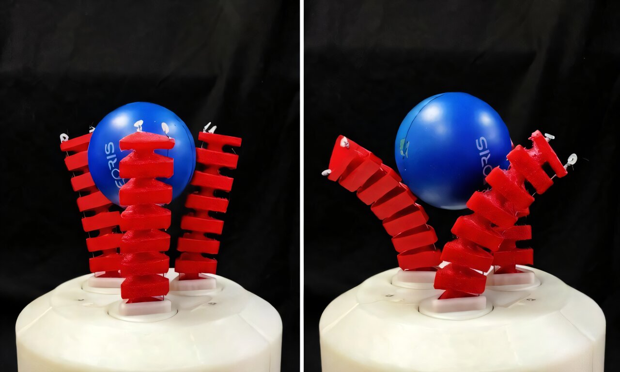 Rubber ducks and screwdrivers put dexterous new soft robotic gripper to ...