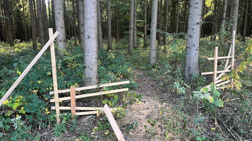 Kettensäge gegen Absperrung: Wer hat den illegalen Mountainbike-Trail ...