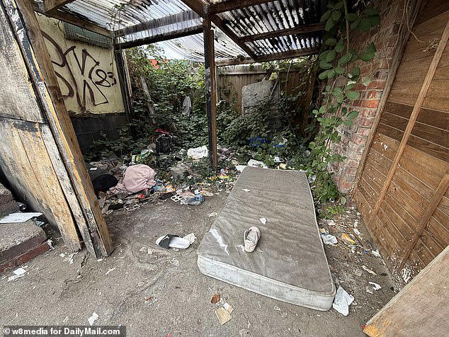 Shipping container village hailed a 'dream for the homeless' is making ...