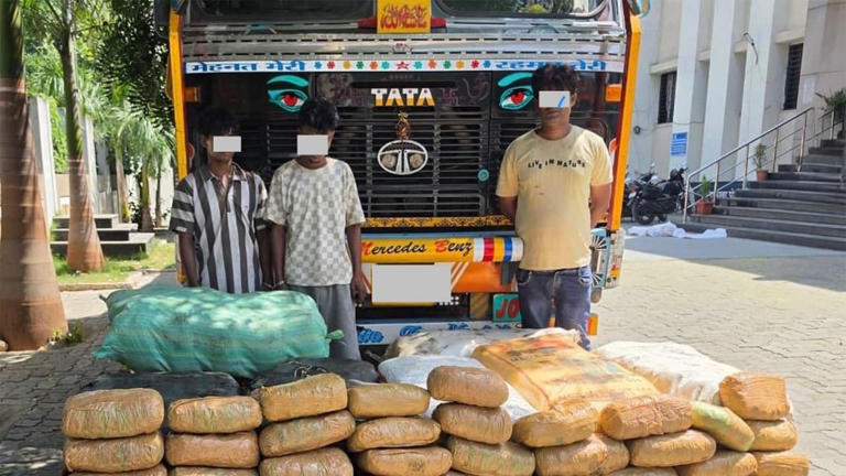 NCB busts interstate drug racket in Nagpur, seizes 500 kg ganja