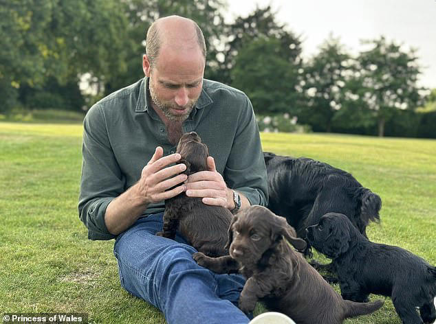 Animal rights group that attacked William and Kate for their dog's ...