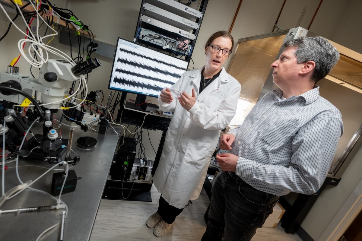Study of 90,000 spinal neurons links a small cell group to walking speed