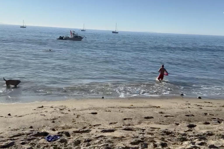 Kayaker attacked by a shark off Paradise Cove in Malibu as dramatic ...