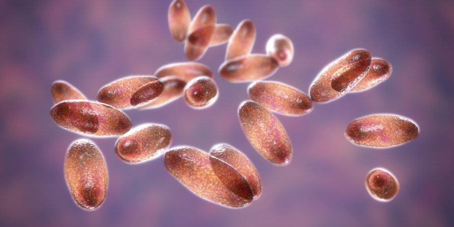 State Department monitoring reports of suspected plague death in Russia