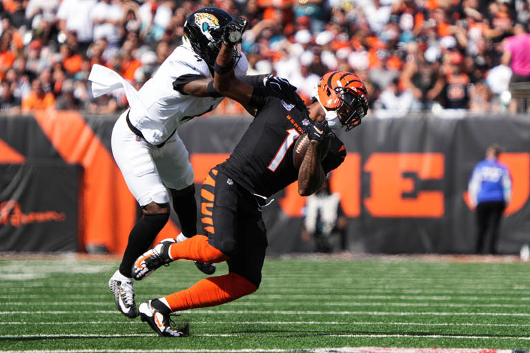 Bengals don't know if they'll have Ja'Marr Chase, Tee Higgins vs. Dolphins