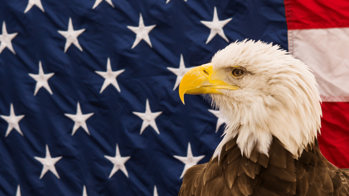 Optiscan’s InVue surgery imaging tech heads to US FDA