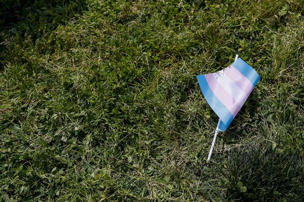 Battleground Democrats break ranks on transgender sports