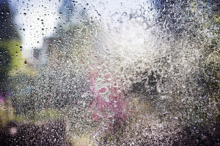 How to clean your outside windows this fall for a streak-free shine